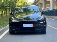 Tesla Model Y Long Range Edition - фото 2