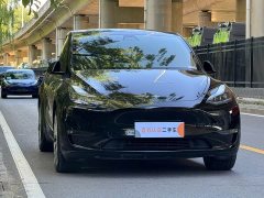 Tesla Model Y Long Range Edition - фото 3