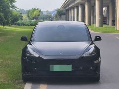 Tesla Model 3 2020 facelift standard range rear-wheel drive upgraded version - фото 1