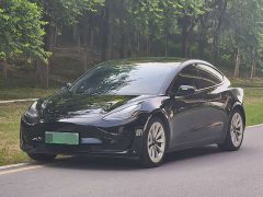 Tesla Model 3 2020 facelift standard range rear-wheel drive upgraded version - фото 2