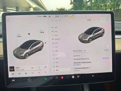 Tesla Model 3 2020 facelift standard range rear-wheel drive upgraded version - фото 8