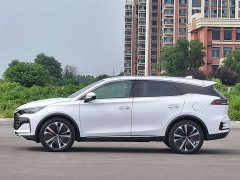 BYD Tangxin Energy DM-p Champion Edition 215KM four-wheel drive exclusive - фото 4