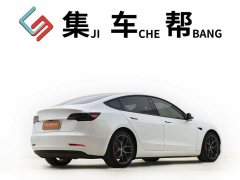 Tesla Model 3 Performance high-performance all-wheel drive version - фото 5