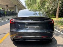 Tesla Model 3 Edition - фото 15