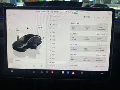 Tesla Model 3 Edition - фото 8