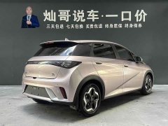 BYD Dolphin 2021 405km fashion version - фото 6