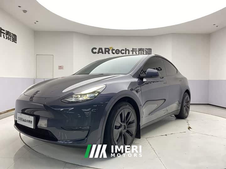 Tesla Model Y 2021 standard range rear-wheel drive version - автомобиль из Китая