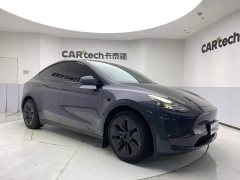 Tesla Model Y 2021 standard range rear-wheel drive version - фото 2