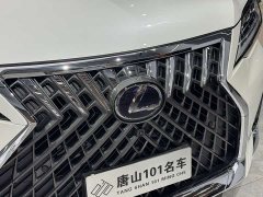 Lexus LM 2020 300h four-seat Royal Edition - фото 5