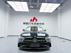 Mercedes-Benz CLS 300 Dynamic - фото 1