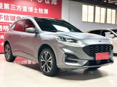 Ruiji 2020 EcoBoost 245 four-wheel drive luxury ST-LINE - фото 3
