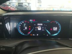 Changan EADO Enjoy Edition PLUS Blue Whale NE 1.4T GDI DCT Premium Edition - фото 12