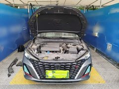 Changan EADO Enjoy Edition PLUS Blue Whale NE 1.4T GDI DCT Premium Edition - фото 16