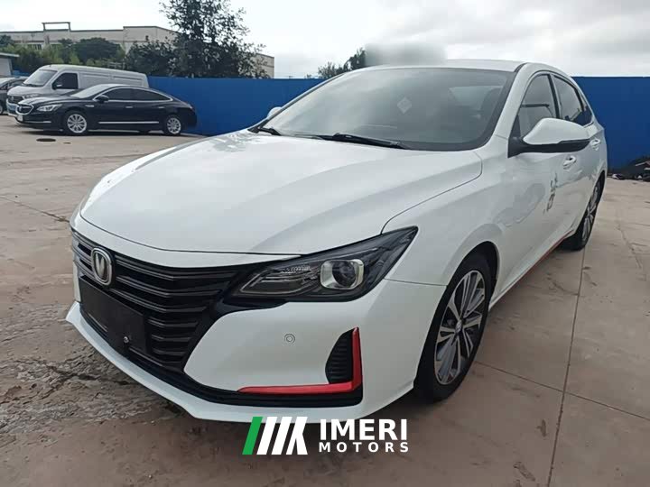 Ruicheng CC Blue Whale Edition 1.5T DCT Luxury - автомобиль из Китая
