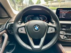 BMW 5 530Li Version Luxury - фото 10