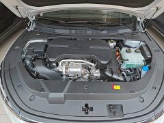 Baojun Xiangjing plug-in hybrid 140km luxury version - фото 20