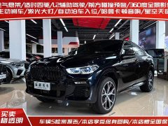 BMW X6 xDrive40i Deluxe Version M - фото 2