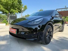Tesla Model Y 2023 Rear-Wheel Drive - фото 1