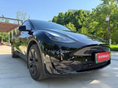 Tesla Model Y 2023 Rear-Wheel Drive - фото 3