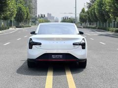 Denza D9 DM-i 970 four-wheel drive flagship - фото 6