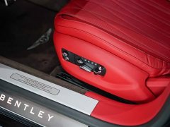 Mercedes-Benz 4.0T V8 Edition - фото 12