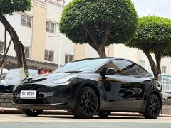 Tesla Model Y Long Range Edition - фото 1