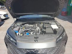 Changan Eado 2025 Blue Whale 1.5T 500Bar Premium Type - фото 20