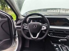 Changan EADO 2020 PLUS Blue Whale NE 1.4T GDI DCT Premium Type - фото 11