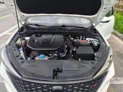 Changan EADO 2020 PLUS Blue Whale NE 1.4T GDI DCT Premium Type - фото 20