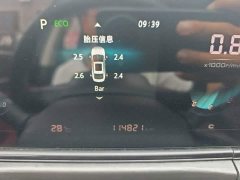Changan EADO 2020 PLUS Blue Whale NE 1.4T GDI DCT Premium Type - фото 12