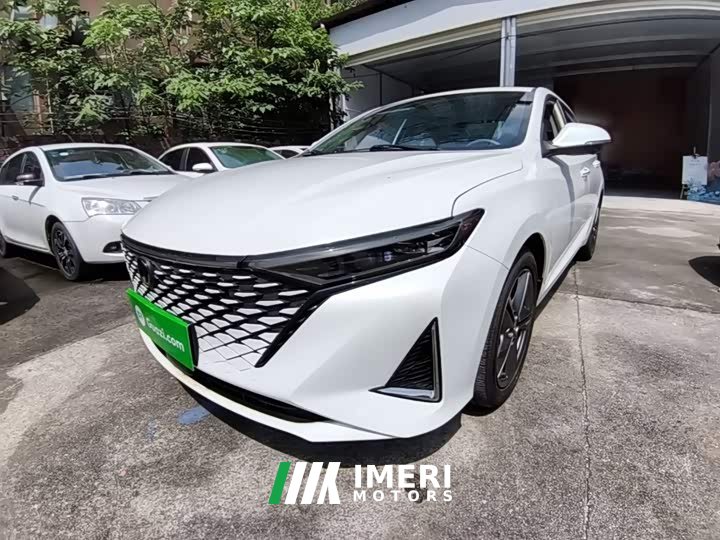 Ruicheng PLUS 1.5T DCT premium - автомобиль из Китая