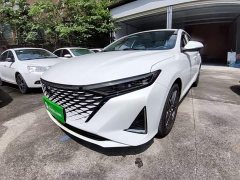 Ruicheng PLUS 1.5T DCT premium - фото 1