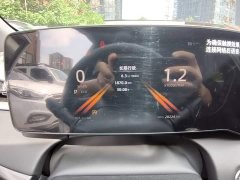 Ruicheng PLUS 1.5T DCT premium - фото 12