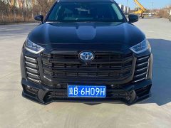 BYD 2.5L AWDPremium Edition 7 - фото 2
