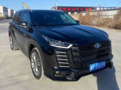 BYD 2.5L AWDPremium Edition 7 - фото 3