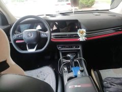 Changan CS55 PLUS Blue Whale Edition 1.5T DCT Luxury - фото 13