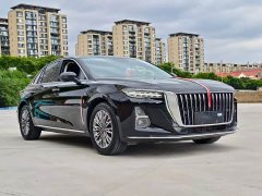 Hongqi H5 2024 1.5T DCT Zhilian Qiyun Edition - фото 2