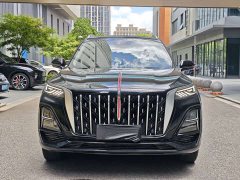 Hongqi HS5 2.0T two-wheel drive Qixiang Pro version - фото 2