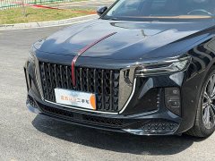 Hongqi H9 2.0T Qichang Private Fashion Edition - фото 3