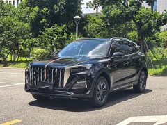 Hongqi HS5 2025 2.0T two-wheel drive Qixiang Pro version - фото 1