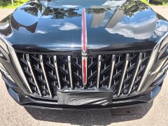 Hongqi HS5 2025 2.0T two-wheel drive Qixiang Pro version - фото 20