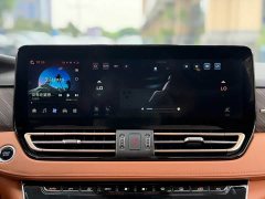 Hongqi HQ9 PHEV 2.0T AWD Business Edition - фото 14