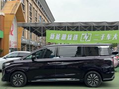 Hongqi HQ9 PHEV 2.0T AWD Business Edition - фото 3