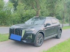 Hongqi HS5 2.0T two-wheel drive Qixiang Pro version - фото 1