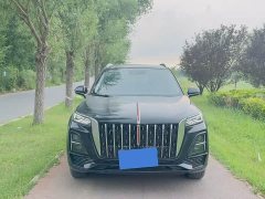 Hongqi HS5 2.0T two-wheel drive Qixiang Pro version - фото 2