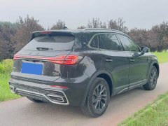 Hongqi HS5 2.0T two-wheel drive Qixiang Pro version - фото 7
