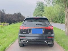 Hongqi HS5 2.0T two-wheel drive Qixiang Pro version - фото 8