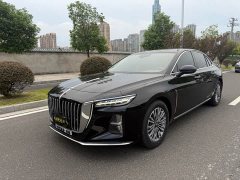 Hongqi H5 2023 2.0T Automatic Intelligent Connected Flag Edition - фото 1