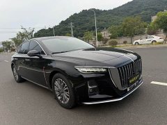 Hongqi H5 2023 2.0T Automatic Intelligent Connected Flag Edition - фото 3