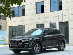 Hongqi HS5 2019 2.0T Zhilian Qiling Edition - фото 1